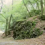 Waldallee - *