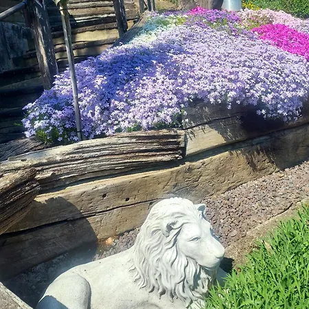 Waldallee - Eppstein