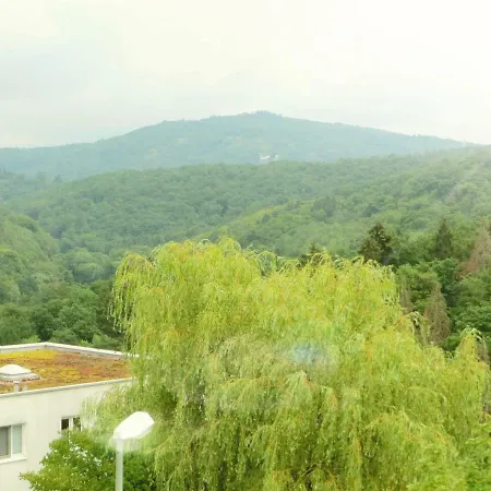 Apartman Waldallee - *